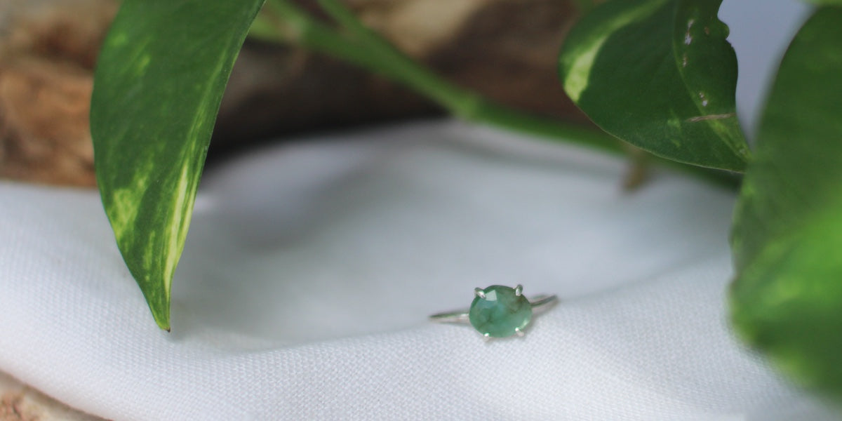 Nature Inspired Collection